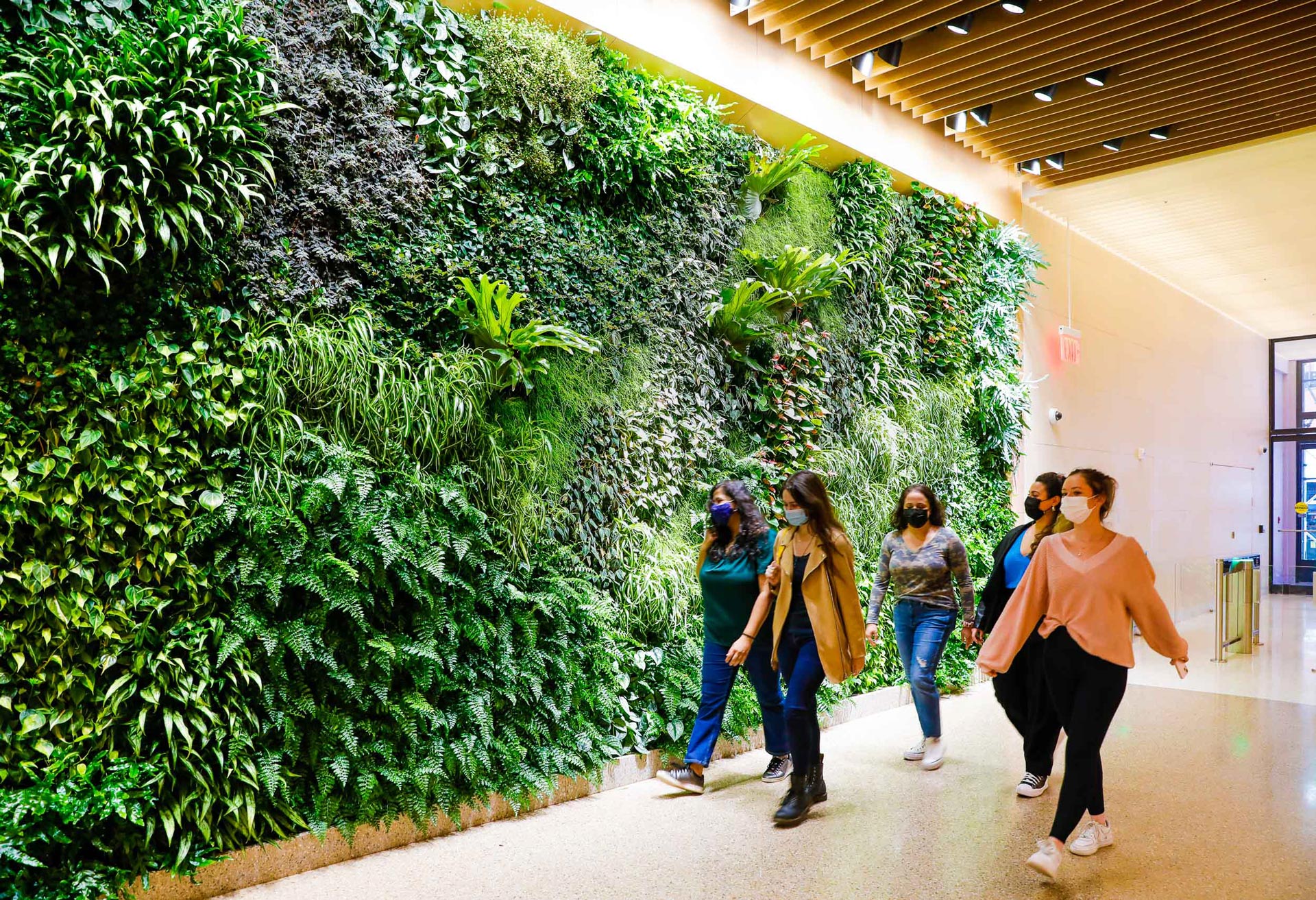 Students walking in front of the living green wall