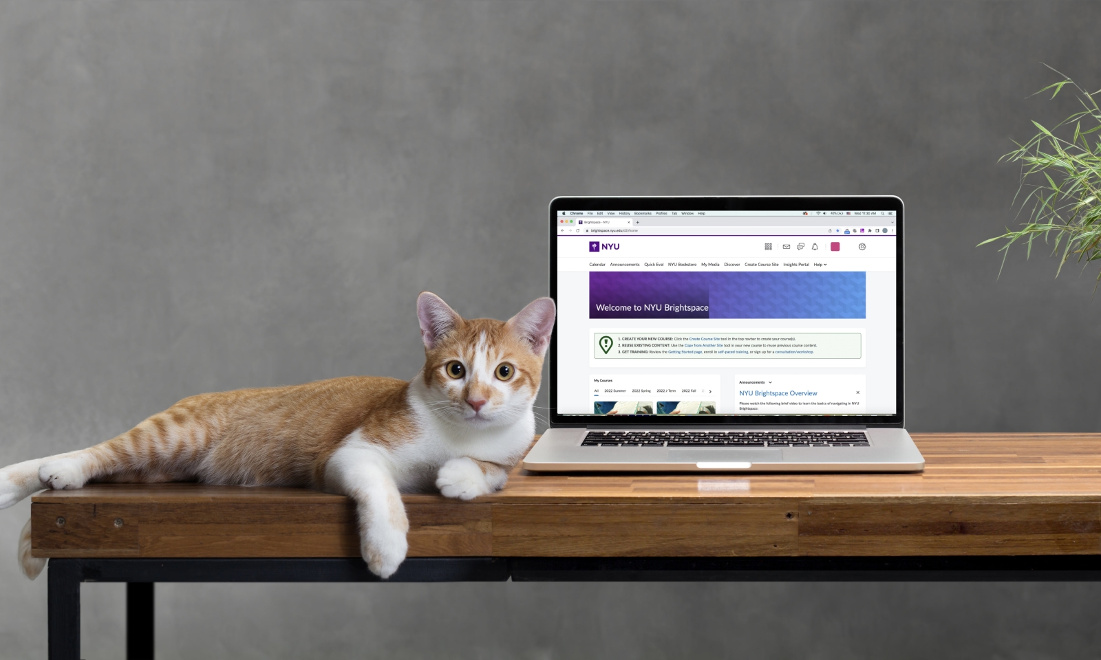 table with laptop screen on