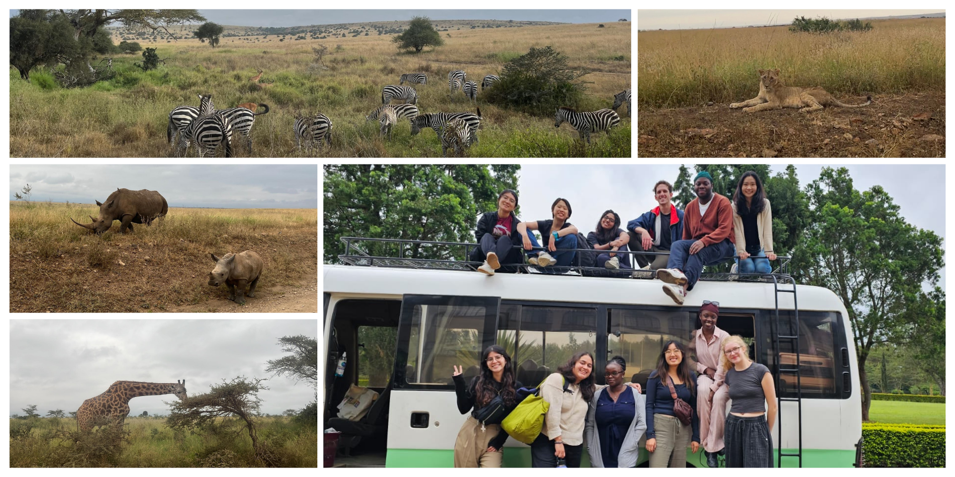 Game Drive in Nairobi National Park