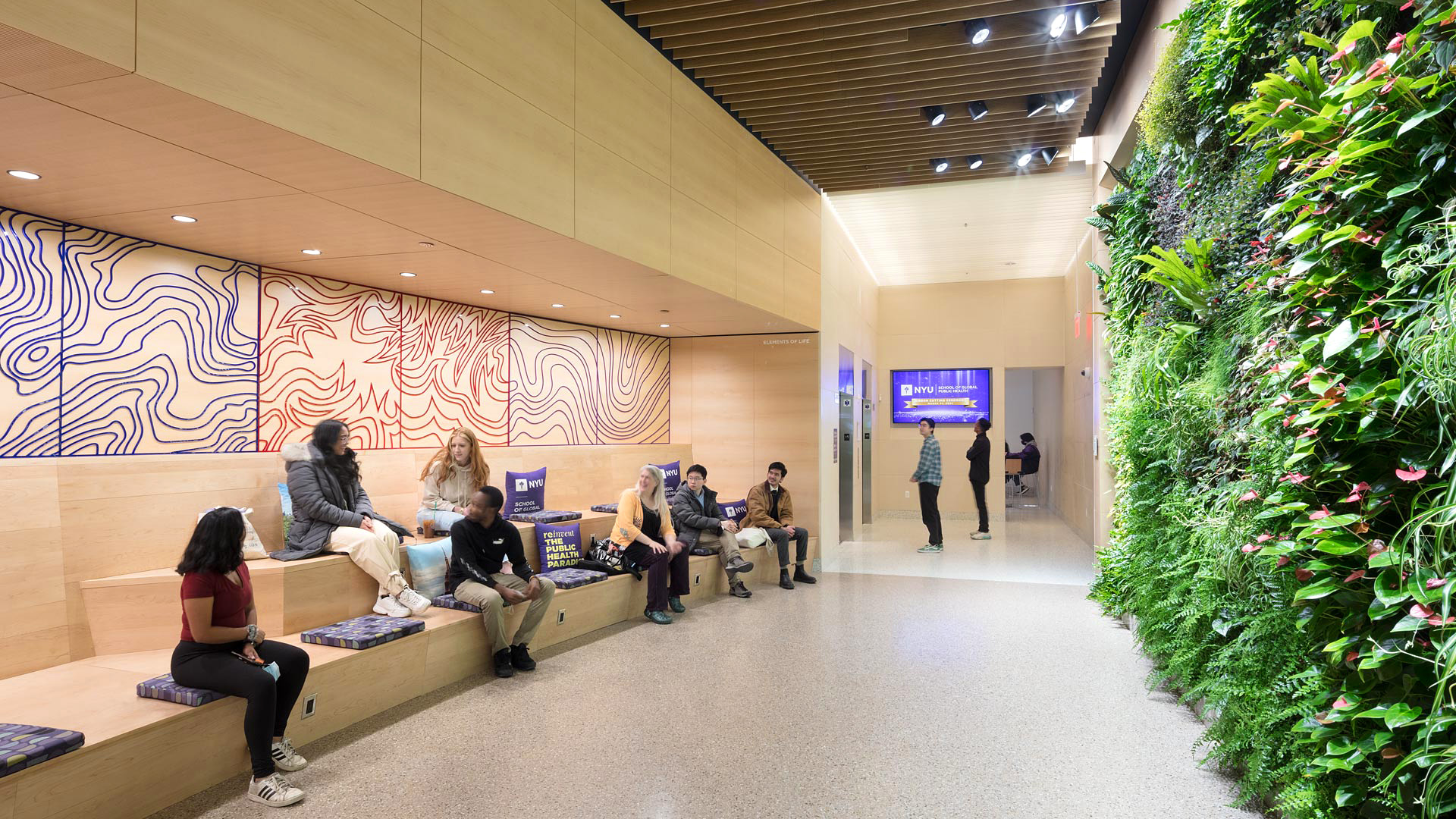 Student sitting in from of the green wall