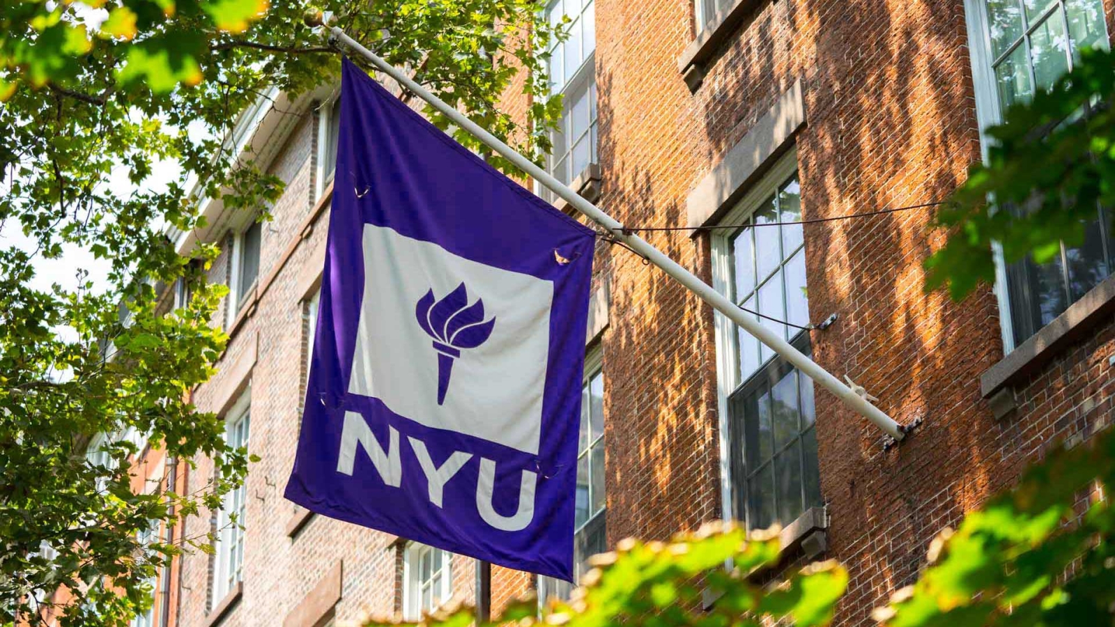 NYU flag