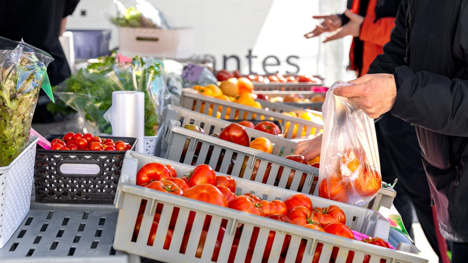 Produce at the market