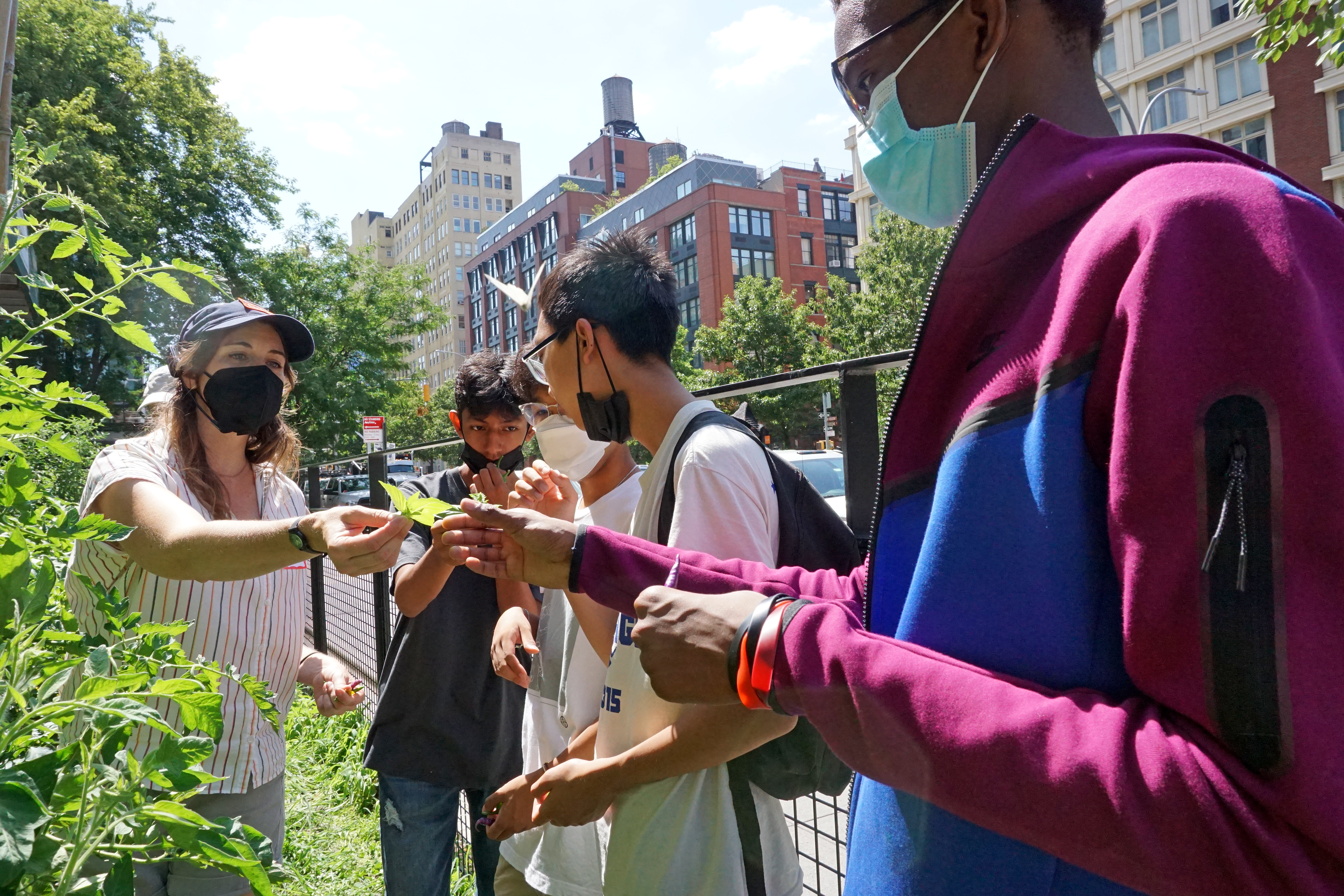 CCL Students at NYU Urban Farm