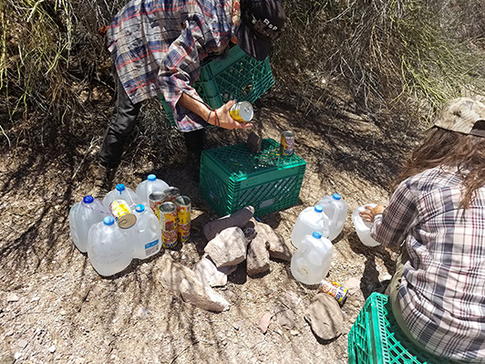 Collection of gallons of water and canned food