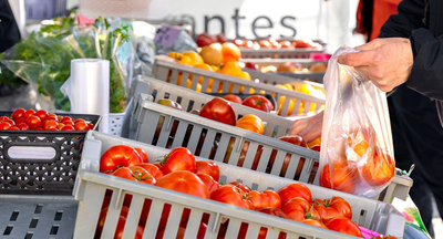 Food shopping at a farmer's market