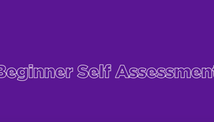 Beginner Self Assessment