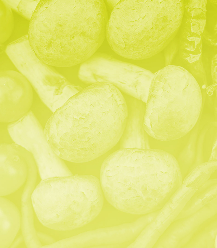 Nutrition Header Image Wide mushrooms and vegetables