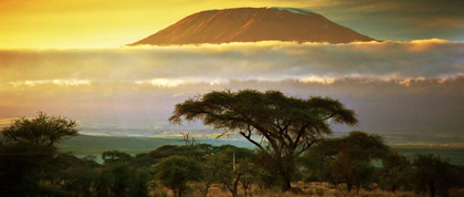 Mt. Kilimanjaro