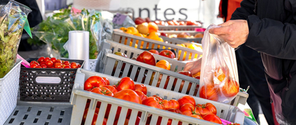 Food shopping at a farmer's market